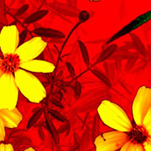 软件市场可靠的ddos攻击工具