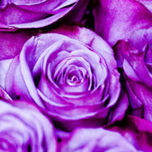 智慧办公必备的ddos在线网页端